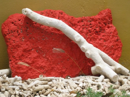 coral