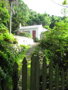 Mount Scenery 030