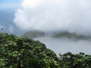 Mount Scenery 050