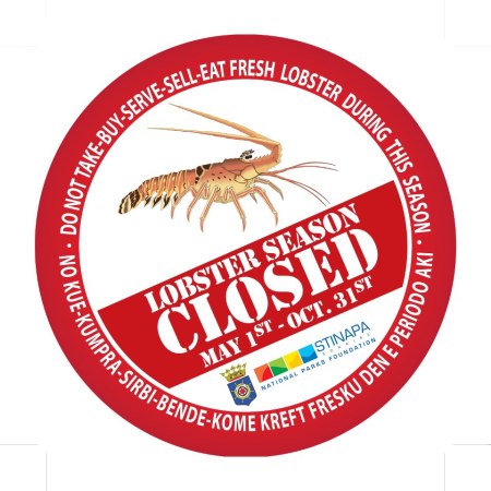 Lobster Season Bonaire