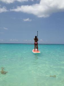 No wind, come SUP