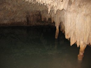 IMG_2108