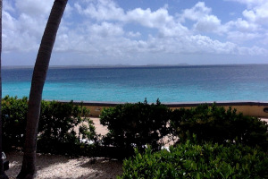 Views from our patio!